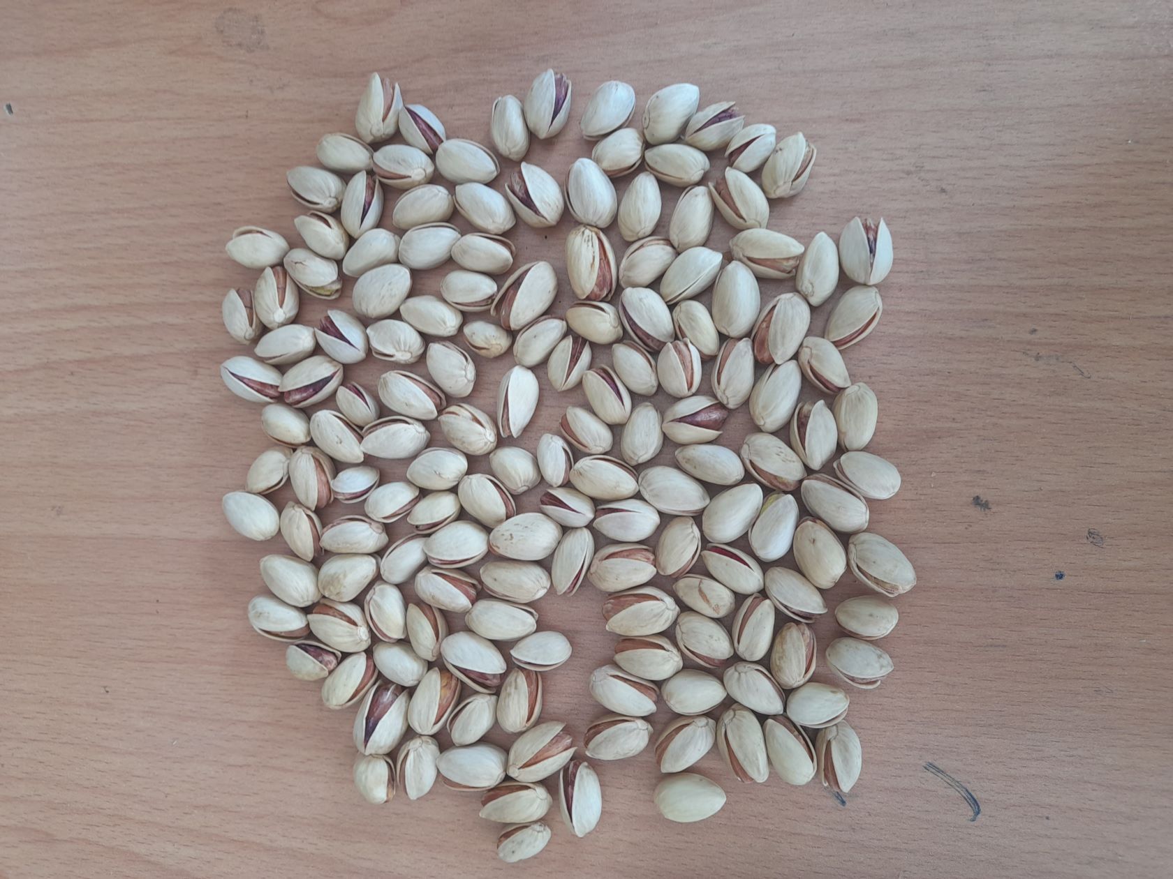 فروش پسته کرمان